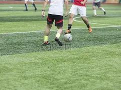 黄金,基金排行榜,开运体育app,开云体育,开云体育官网,开云体育app,开云体育平台,KAIYUN,SPORTS,kaiyun登录入口