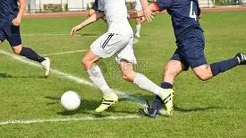 开运体育app 资讯 113651 bth