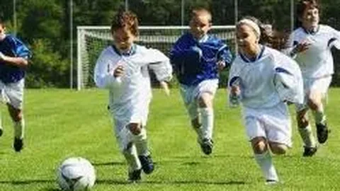 开运体育app 产品 114028 pug