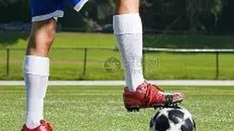 农产品质量检测中心快检设备关键清单（食品与农残）